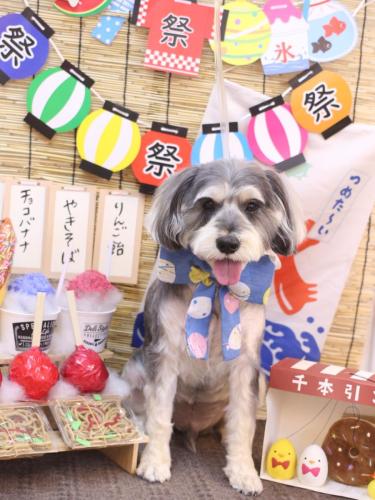 20240728パピコくん